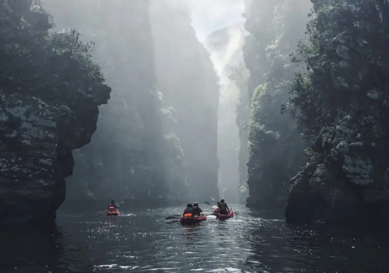 Rondreis Zuid-Afrika Tsitsikamma
