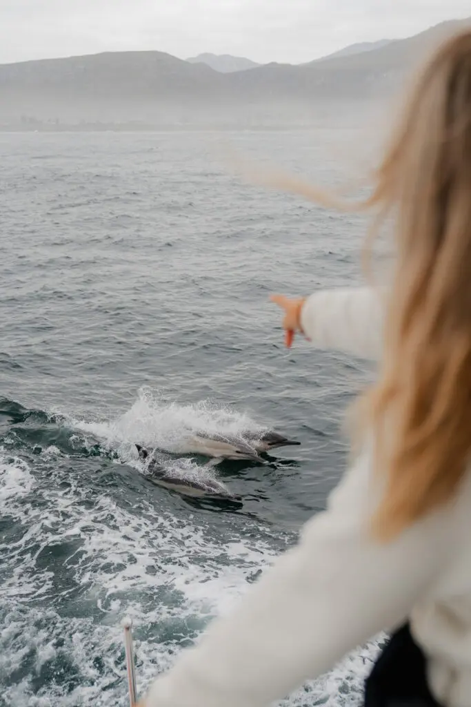 Hoogtepunten in Zuid-Afrika