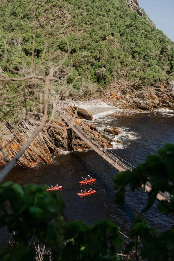 Tsitsikamma National Park