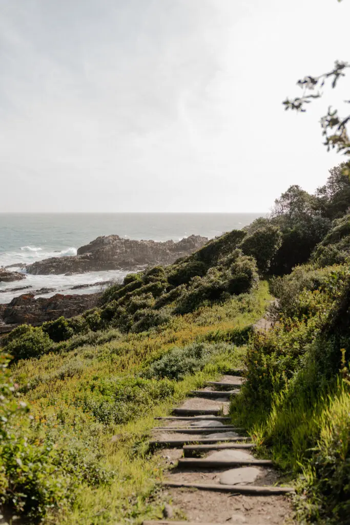 Hoogtepunten in Zuid-Afrika